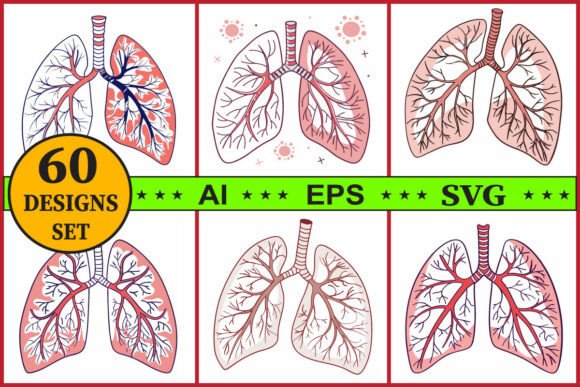 Human Lungs Anatomy Vector Clipart Set for Graphics & Illustrations